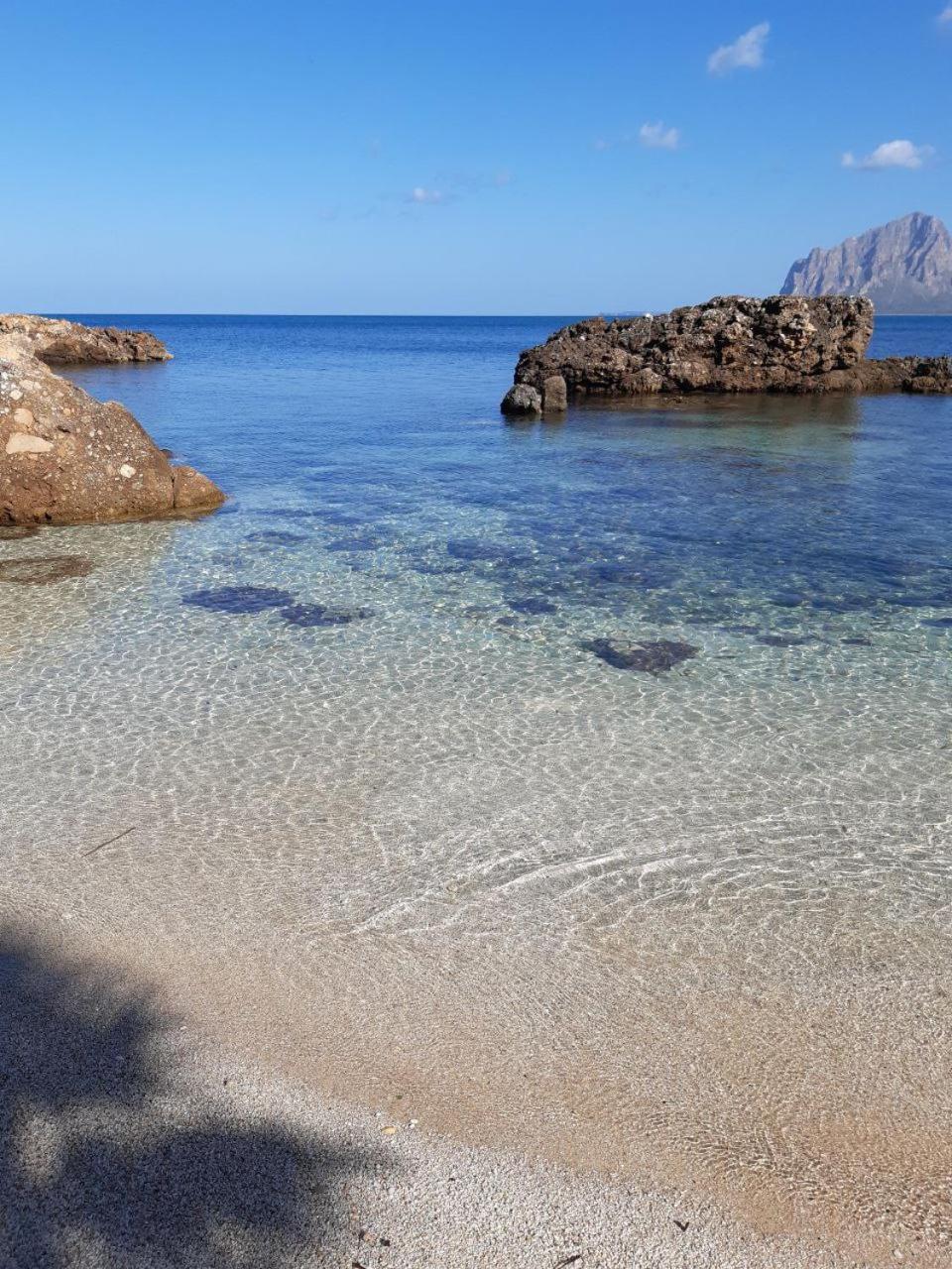 Il Colore Del Mare Tonnara di Bonagia Kültér fotó